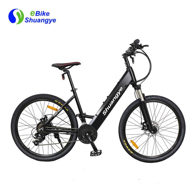 铝架最好的电动自行车出售A5AH26