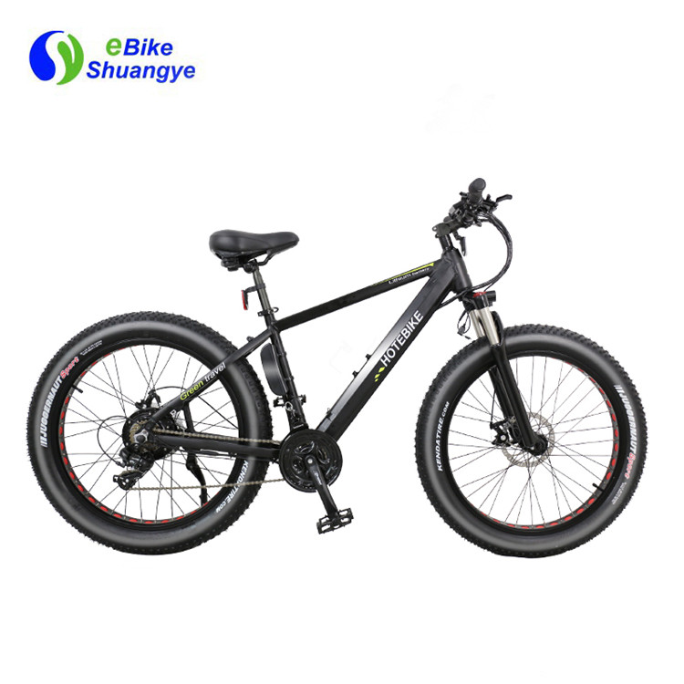 电动自行车(1)