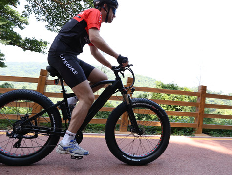 为什么要买胖轮胎的电动自行车必威体育官方网站
