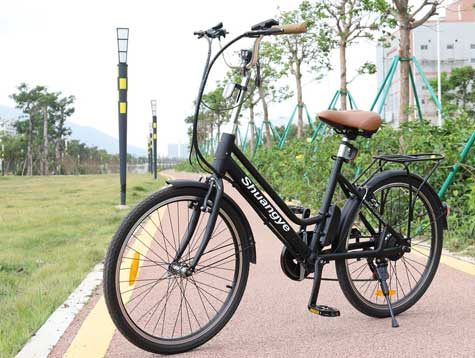 24英寸城市最实惠的电动自行车必威体育官方网站