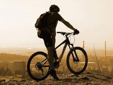 2022 Electric Bike Facts and Statistics