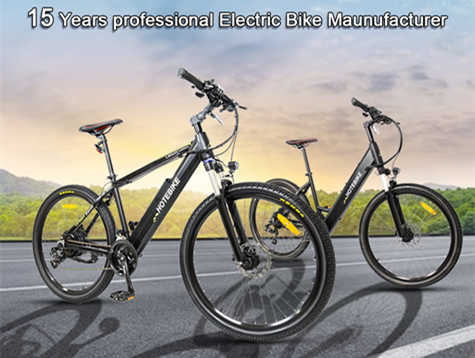 每年卖出多少辆电动自行车